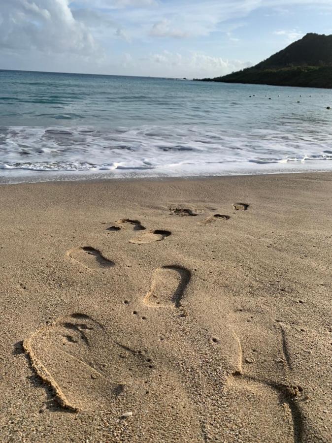 Kenting Jinjin Music Inn Exteriér fotografie